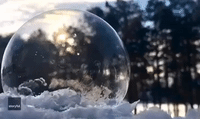 Ice Crystals Form Beautiful Pattern on Bubble in Frigid Michigan