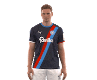 2 Bundesliga What Sticker by Holstein Kiel