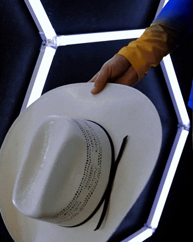 H2P Pitt Volleyball GIF by Pitt Panthers