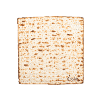 Jewish Jew Sticker by Cedar Market