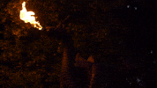 Minnesota State University Moorhead Dragon GIF by MSUM Dragons