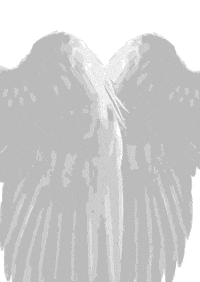 los angeles beach GIF by LA Fashion Film Festival