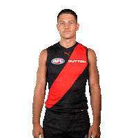 Football Sport Sticker by Essendon FC