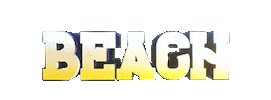 reggaetonbeachfestival beach reggaeton rbf Sticker
