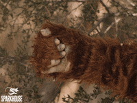 All Good Thumbs Up GIF by TheSparkhouse