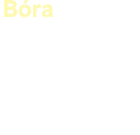 Ali Mkt Sticker by reloumkt