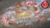 Stars Sparkling GIF by ESA/Hubble Space Telescope