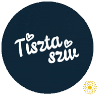 Fesztival Sticker by Csillagpont