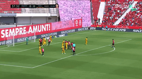 highansol93 giphyupload GIF