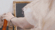 sub pop hello GIF by Sub Pop Records