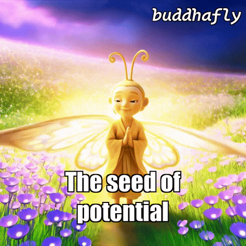 Flower GIF by BuddhaFlyJourney