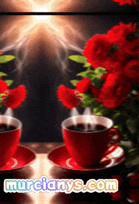 Rosa Amigos GIF by Murcianys LLC
