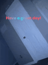 Ashley2Cents GIF by Sense 2 Cents