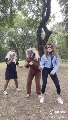 Squirrels GIF by chuber channel