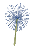lucie_lev cute flower wind blown away Sticker