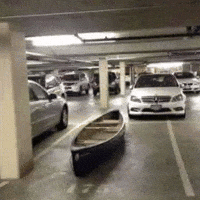 Car What GIF