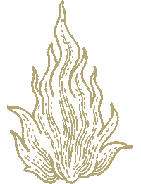 Fire Flame Sticker