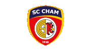 Logo Sticker by SC Cham