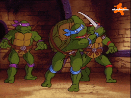 Tmnt GIF by Teenage Mutant Ninja Turtles