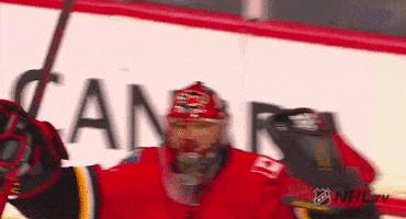 Happy Ice Hockey GIF by NHL