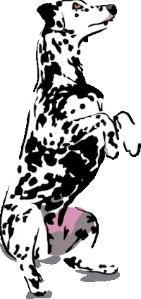 Fetch Best In Show Sticker by Vera Bradley