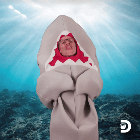 TV gif. Bob the Shark, a man in a shark costume from Discovery's Shark Week, opens his fins and says, "Thank you."