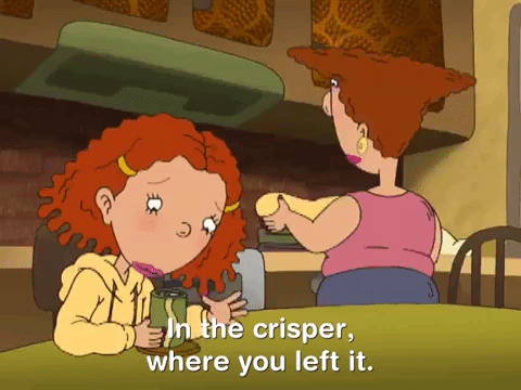 nickrewind giphydvr nicksplat as told by ginger giphyatbg003 GIF