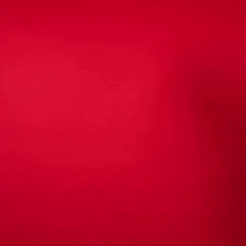 Texas Tech GIF by Texas Tech Baseball