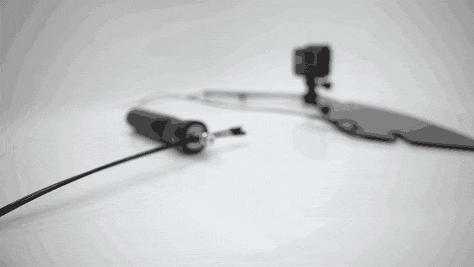 sapiton giphyupload GIF