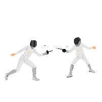 Bud Fencing Sticker by Budapest Airport