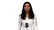 Volleyball Vb Sticker by Providence Friars