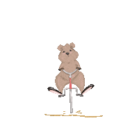 Australia Bicycle Sticker