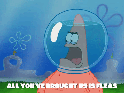 season 5 episode 10 GIF by SpongeBob SquarePants