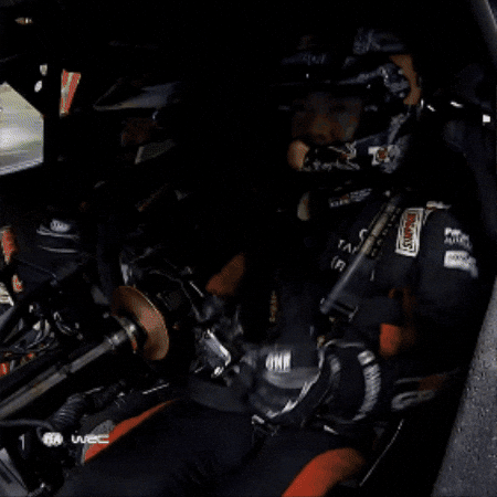 Japan Driving GIF by FIA World Rally Championship