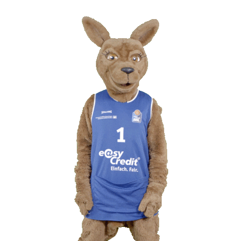 social-media-easycredit giphyupload basketball swipeup easycredit Sticker