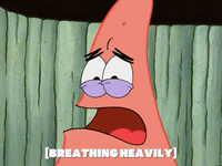 season 5 episode 10 GIF by SpongeBob SquarePants