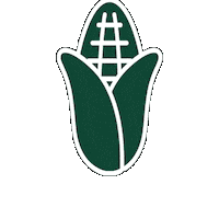 Agriculture Corn Sticker by AgriGold