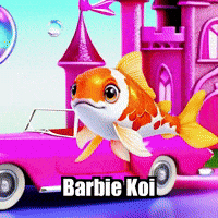 Koi Fish Barbiemovie GIF by TheConfishius
