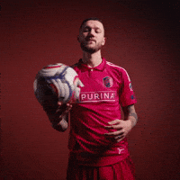 Stl Cello GIF by St. Louis CITY SC