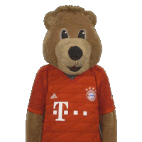 Champions League Football Sticker by FC Bayern Munich