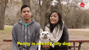 Dog GIF by BuzzFeed