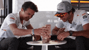 carlossainz landonorris GIF by McLaren