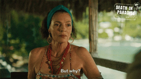 But Why GIF by Death In Paradise