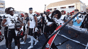College Football Ncaa GIF by Cincinnati Bearcats