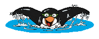 Phillip Island Swimming Sticker by CYC Christian Youth Camps
