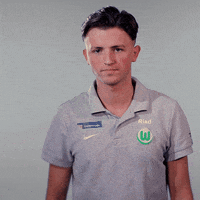 fifa 18 football GIF by VfL Wolfsburg