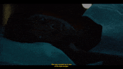 GIF by Hornet / Unicorn Booty