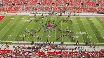 tbdbitl ohio state buckeyes ohio state buckeyes marching band GIF