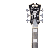 Guitar Dangelico Sticker by Tarara
