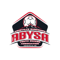 HFCABYSA hfc abysa ashevillesoccer soccerasheville Sticker